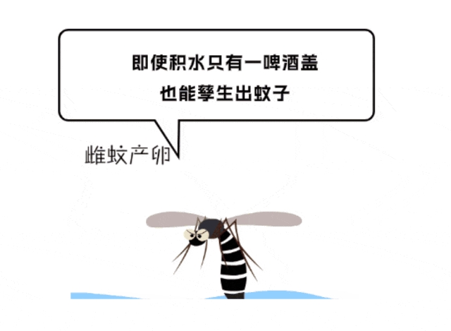 微信截图_20240823090428.png
