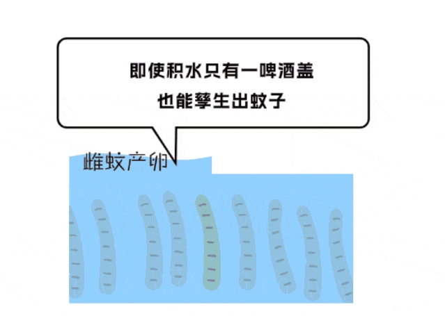微信截图_20240823090450.png