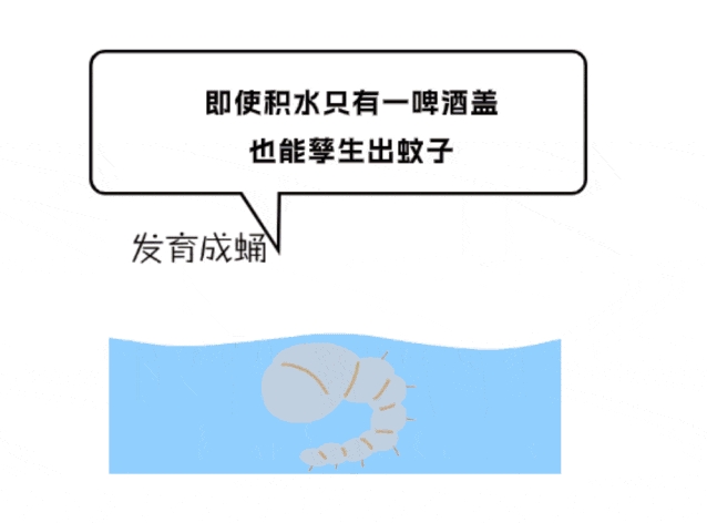 微信截图_20240823090522.png