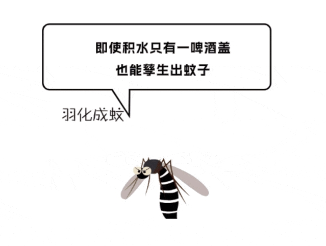 微信截图_20240823090533.png