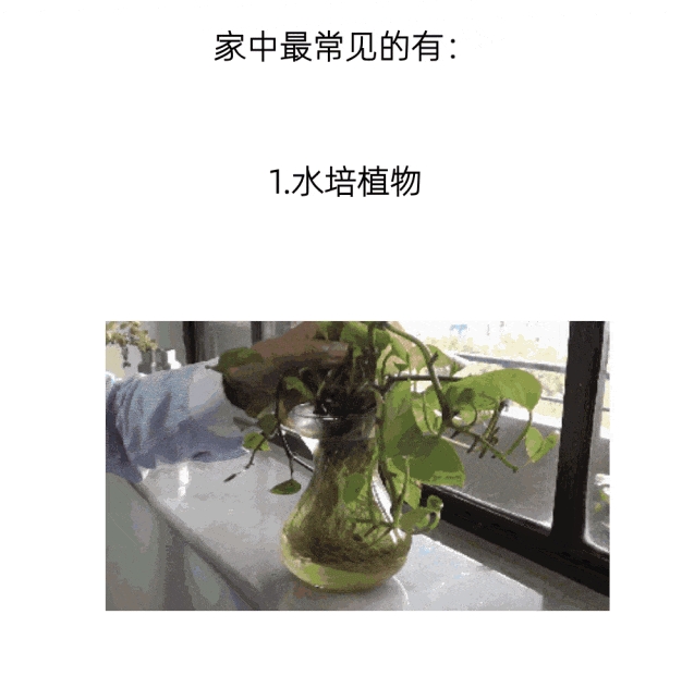 微信截图_20240823090556.png