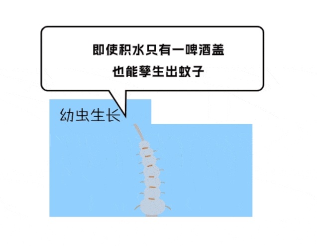 微信截图_20240823090511.png